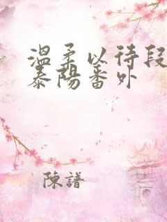 温柔以待段潮徐泰阳番外