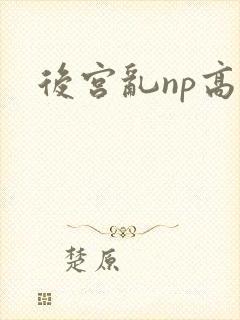 后宫乱np高h