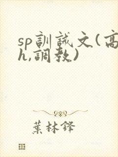 sp训诫文(高h,调教)