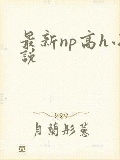 最新np高h小说