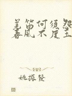 羌笛何须怨杨柳春风不度玉门关的诗意