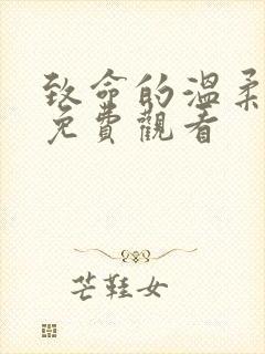 致命的温柔小说免费观看