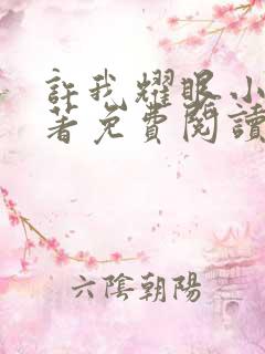 许我耀眼小说原著免费阅读