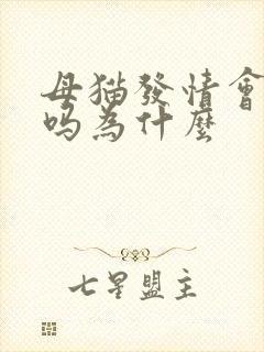 母猫发情会乱尿吗为什么