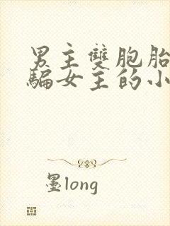 男主双胞胎兄弟骗女主的小说