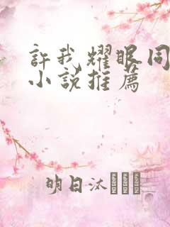 许我耀眼同人文小说推荐