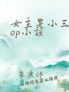 女主是小三的pop小说