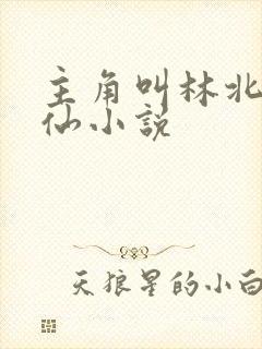 主角叫林北的修仙小说
