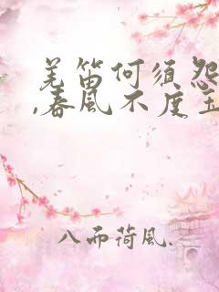 羌笛何须怨杨柳,春风不度玉门关是什么意思