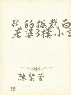 我的总裁白富美老婆3楼小说免费版