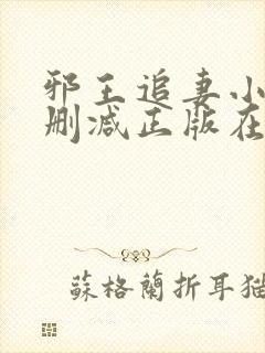 邪王追妻小说无删减正版在线阅读