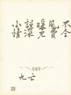 小说暖风不及你情深免费全文阅读