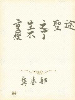 重生之圣途风流瘦不了