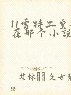 11处特工皇妃在哪个小说可以看