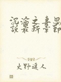 沉沦之妻思琳小说最新章节更新内容