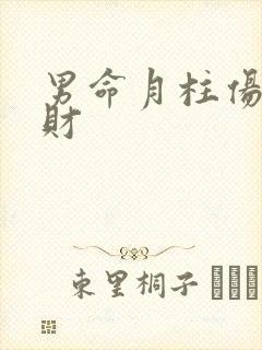 男命月柱伤官正财