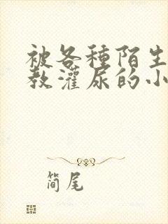 被各种陌生人调教灌尿的小说