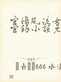 官场风流女人升官的小说免费阅读