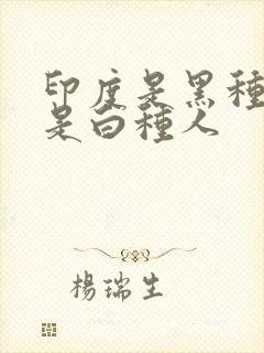 印度是黑种人还是白种人