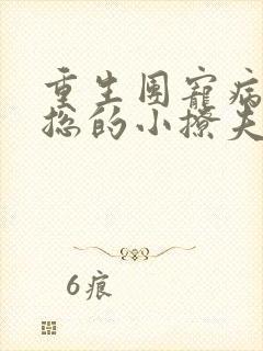 重生团宠病娇霸总的小撩夫小说