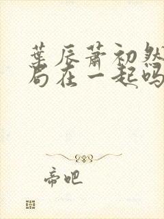 叶辰萧初然大结局在一起吗