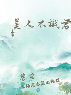 美人不识君txt