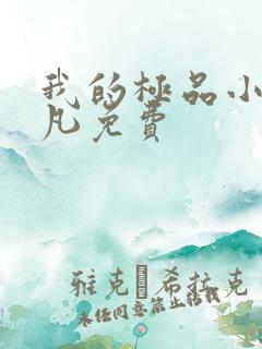 我的极品小姨叶凡免费