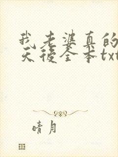 我老婆真的不是天后全本txt下载