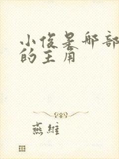 小俊是哪部小说的主角