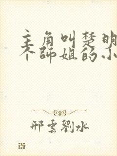 主角叫楚明有七个师姐的小说