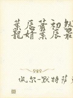 叶辰萧初然上门龙婿叶辰最新章节