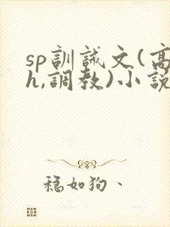 sp训诫文(高h,调教)小说