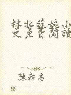 林北苏婉小说全文免费阅读无弹窗