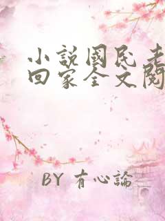 小说国民老公带回家全文阅读