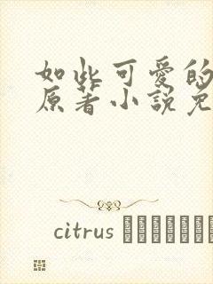 如此可爱的我们原著小说免费阅读