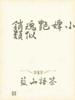 销魂艳婢小说相类似