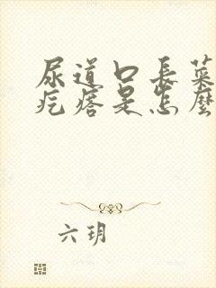 尿道口长菜花状疙瘩是怎么回事