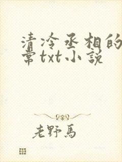 清冷丞相的爆日常txt小说