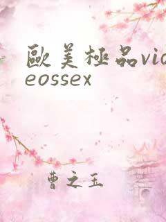 欧美极品videossex