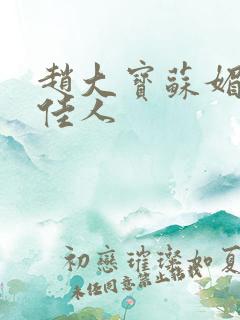 赵大宝苏媚极品佳人
