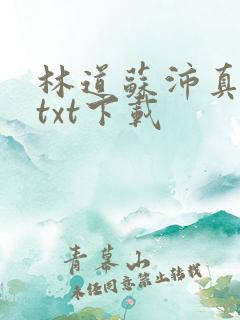 林道苏沛真小说txt下载