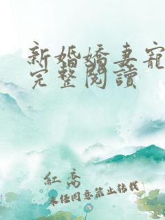 新婚娇妻宠上瘾完整阅读