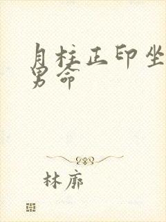 月柱正印坐伤官男命