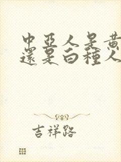 中亚人是黄种人还是白种人