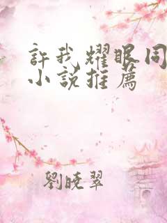 许我耀眼同人文小说推荐