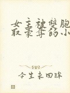 女主被双胞胎强取豪夺的小说