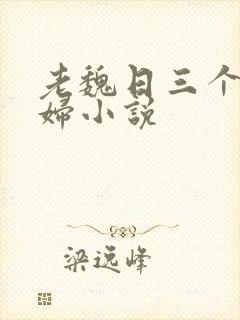 老魏日三个儿媳妇小说