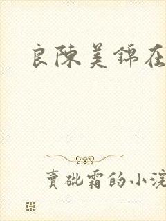 良陈美锦在线版