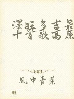 泽旺多吉最好听十首歌高原情歌