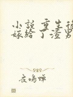 小说 重生后我嫁给了渣男的死对头